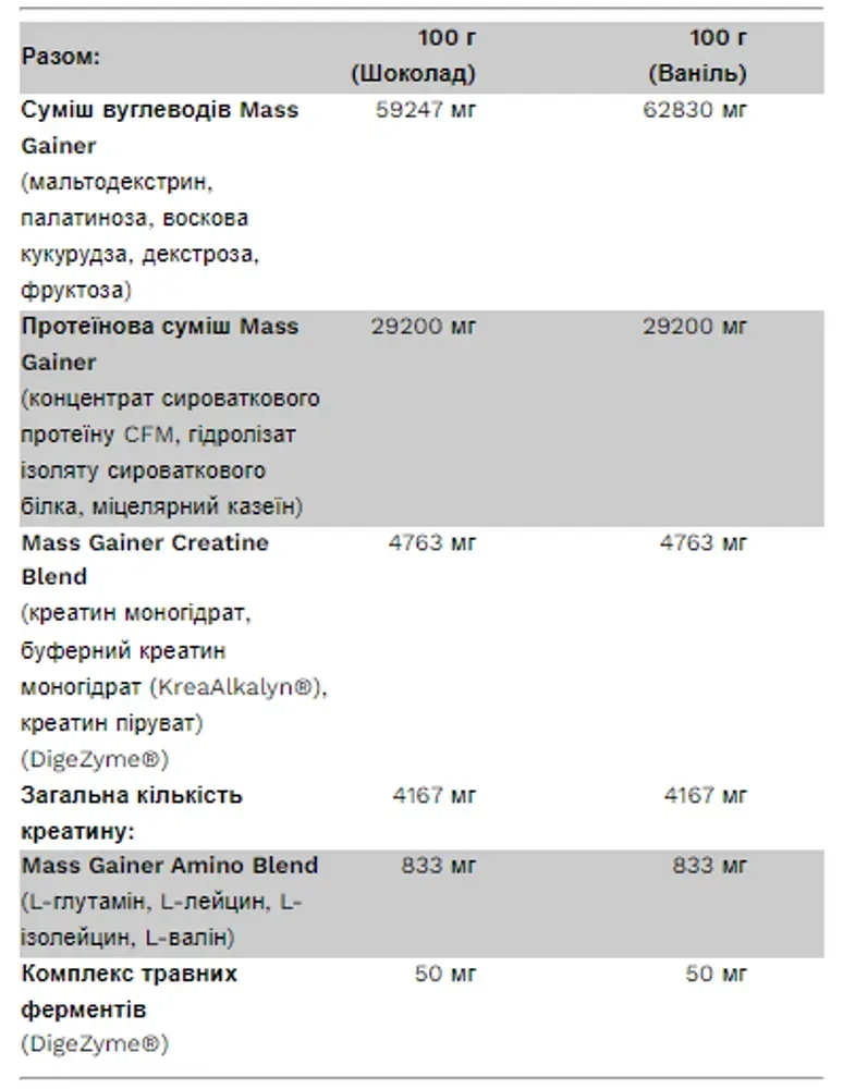 Big Mass Gainer - 3000g Chocolate